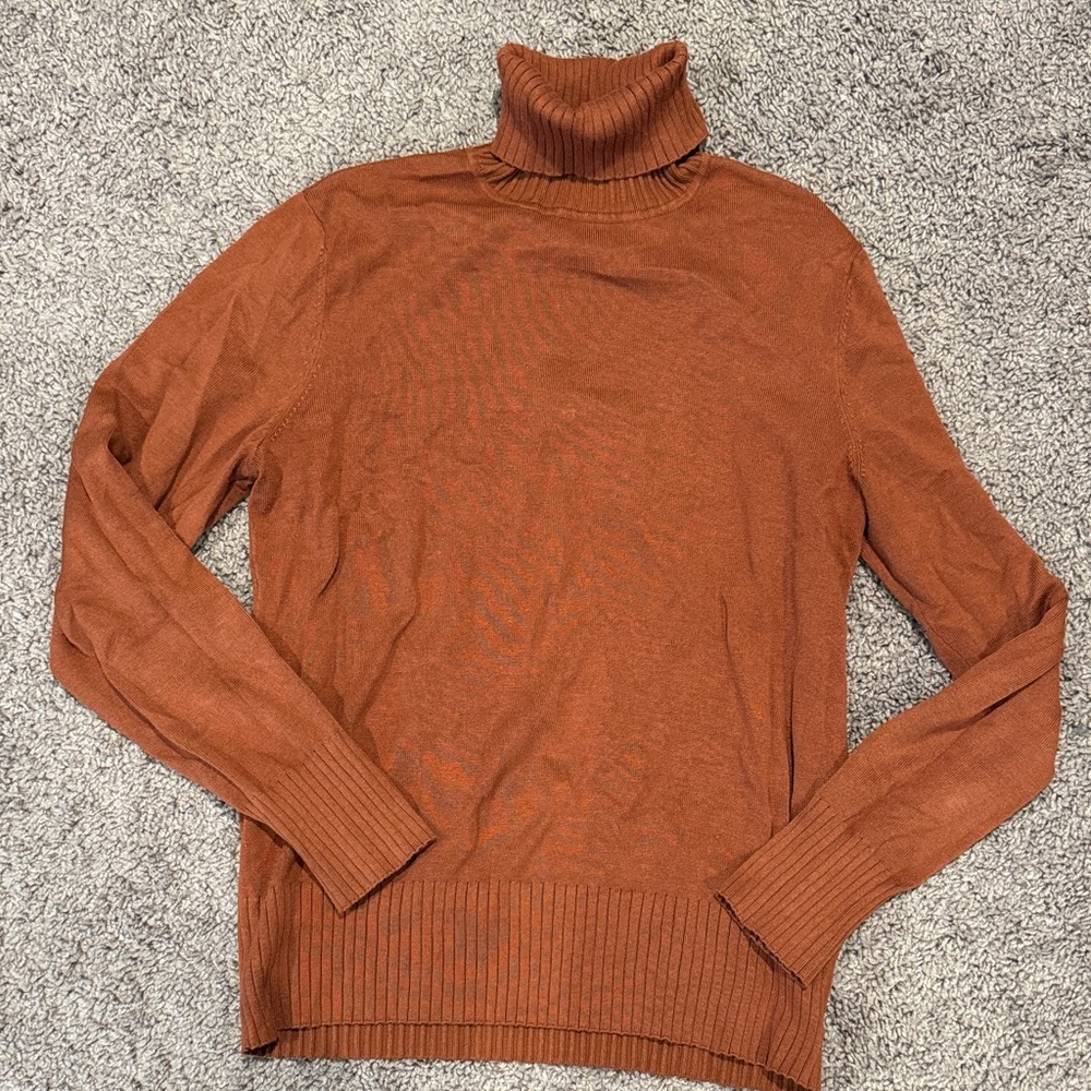 Men's Rust Turtleneck Sweater